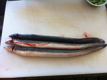 Ikejime Unagi ~ fresh water eel from Japan