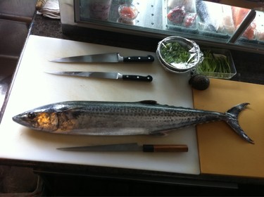 Sawara ~ king mackerel from Japan