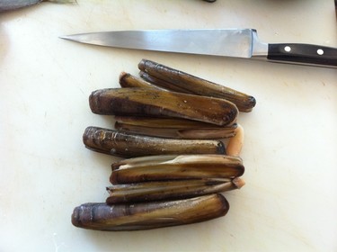 Mategai ~ razor clam from Japan