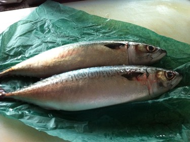 Local Saba ~ mackerel from Monterey