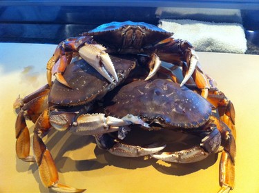 Kani ~ Local Dungeness crab