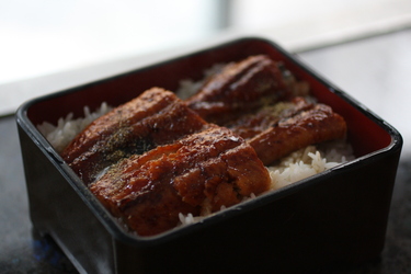 Una Don ~ Donburi ~ fresh water eel with unagi sauce over rice