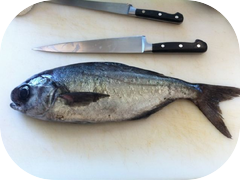 This nice Medai is on the menu tonight. And more Shigoku oysters too!
