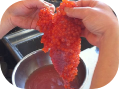 Fresh house cured salmon roe just in!