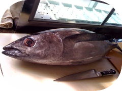 Fresh albacore still available! Come get it while it lasts.