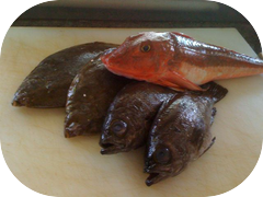 Sushi trivia.Name these fish.