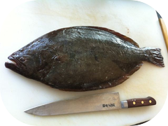 A beautiful Flounder from Japan.