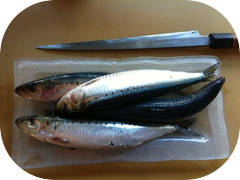 More fatty sardines!