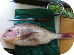This Japanese Tai Snapper is huge!