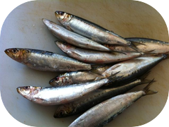 If you want some Toro Iwashi or Sanma tonight, we've got them!