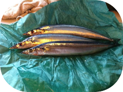 Check out the beautiful color on these Sanma.