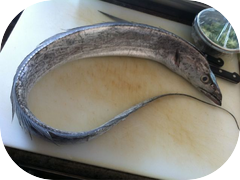 This mean looking fish is called Tachiuo. English name is belt fish. He is tasty.