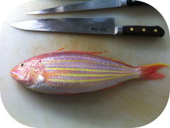 It's been a while since we've had Itoyoridai in. Golden-thread seabream.
