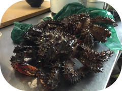 Flower crab.