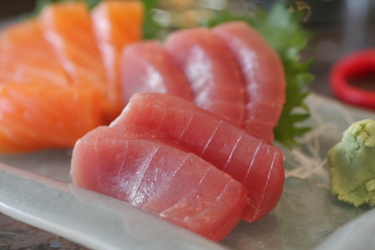 Bachi Maguro
