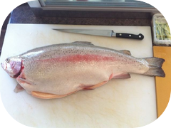 Check out this big fat Umimasu! (sea trout)