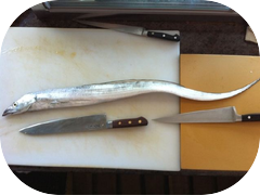 Cool looking belt fish for tonight's menu.