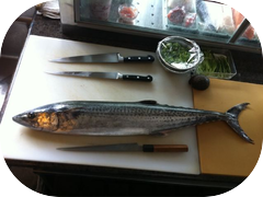 What a beautiful Sawara from Japan!