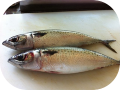 And Goma Saba.