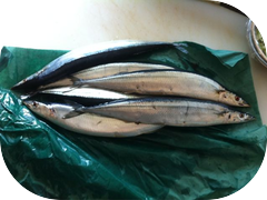 We have Sanma tonight!