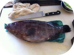 A big fat Hata (grouper)
